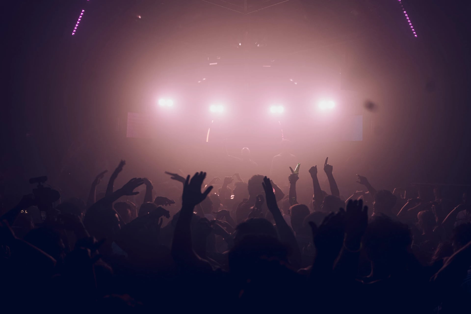 Banana Club Atmosphere